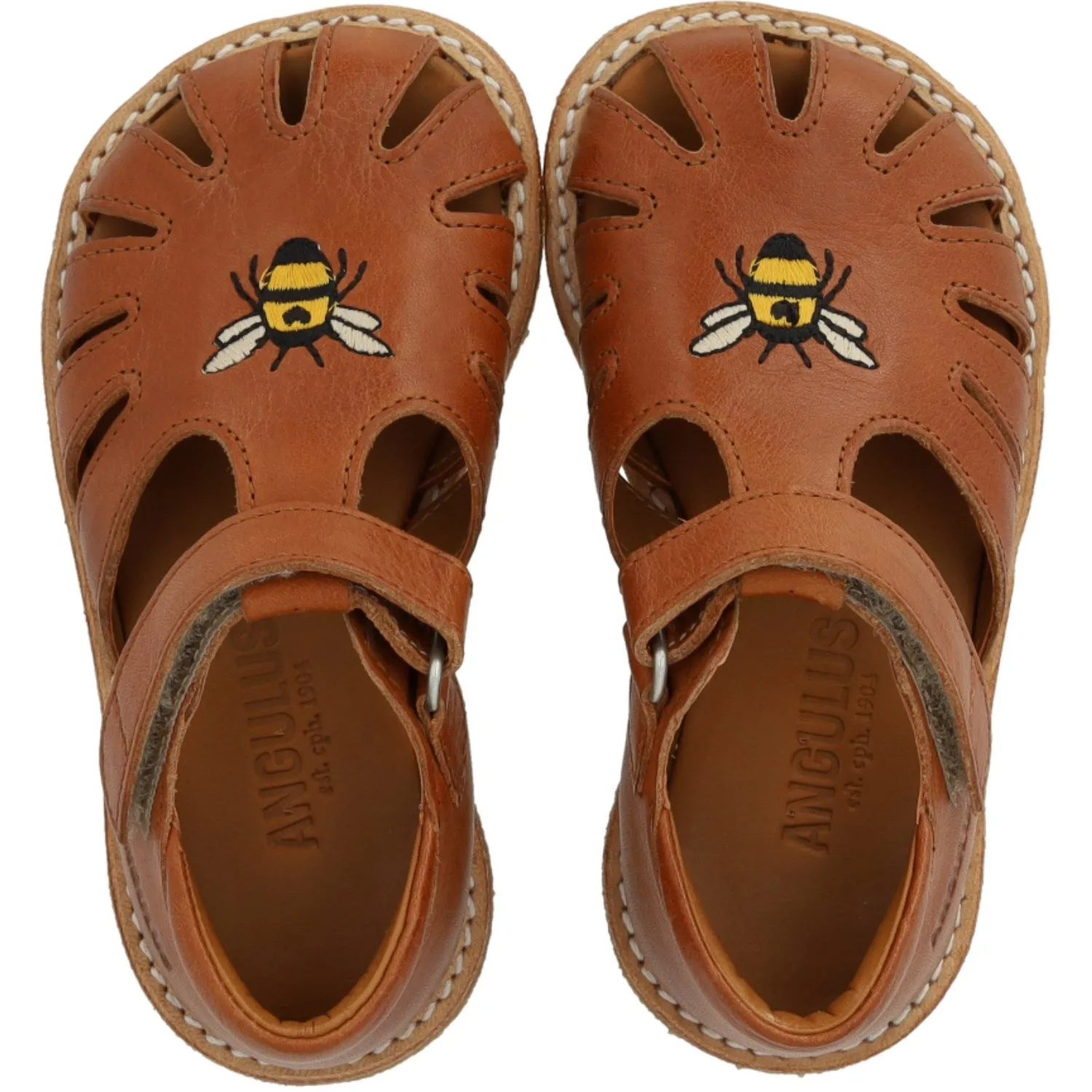 Angulus CAndnac Beginner Sandal Med Bi Broderi