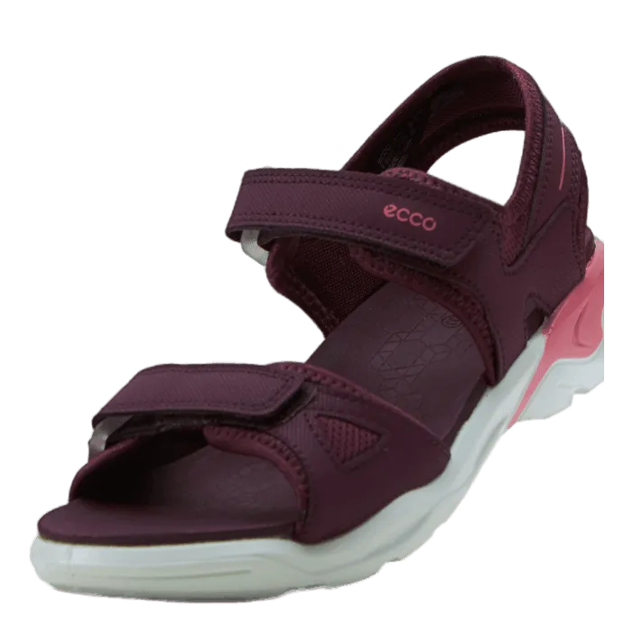 Ecco Biom Raft Aubergine