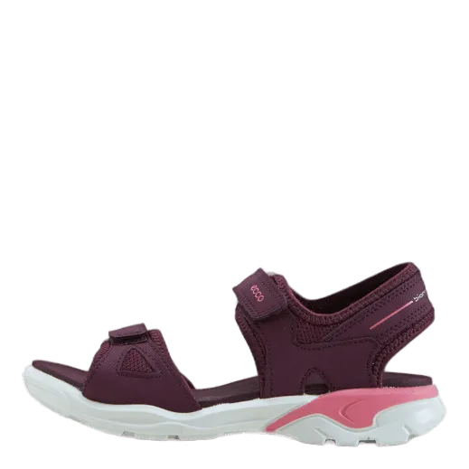 Ecco Biom Raft Aubergine