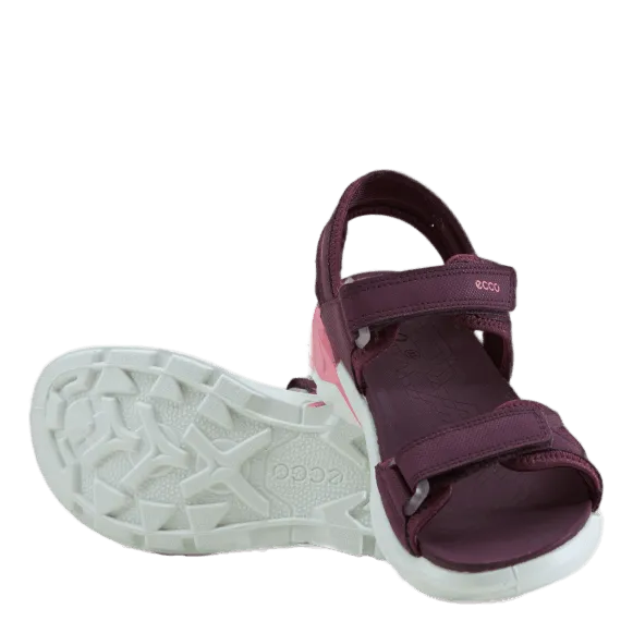 Ecco Biom Raft Aubergine